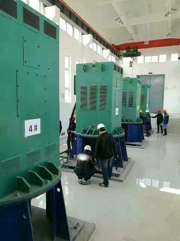 耒阳某污水处理厂使用我厂的立式高压电机安装现场报价
